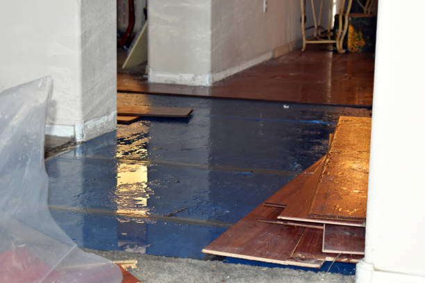 Professional Burst Pipe Cleanup technician working in Savoy, IL