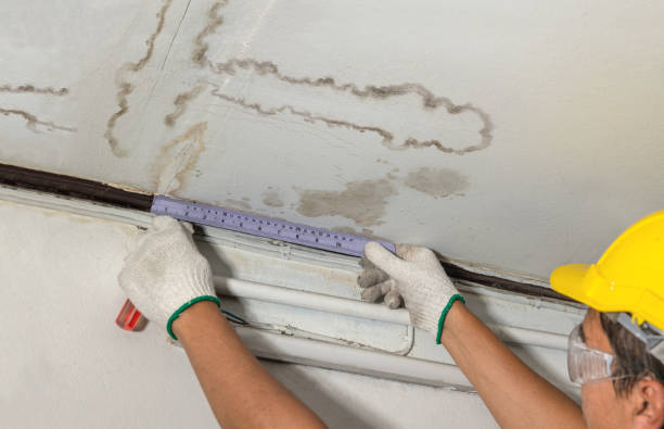 Reliable Burst Pipe Cleanup contractor in Savoy, IL by Water Damage Irwin